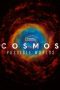 Cosmos A Spacetime Odyssey (2014)